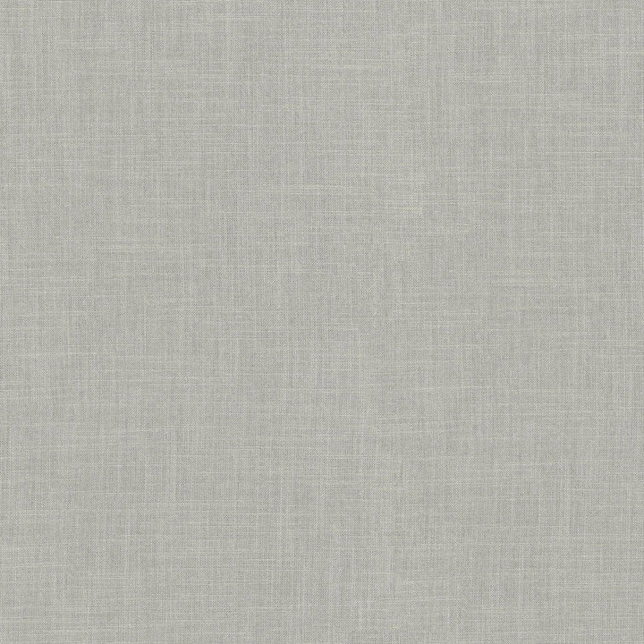 Millbrook Gray 470506 by PKL Studio Designer Fabric - 52% cotton, 48% polyester India 51000 Horizontal: N/A and Vertical: N/A 55 - Swanky Fabrics -