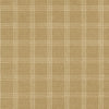 Catalina Check Camel 470614 by PKL Studio Designer Fabric