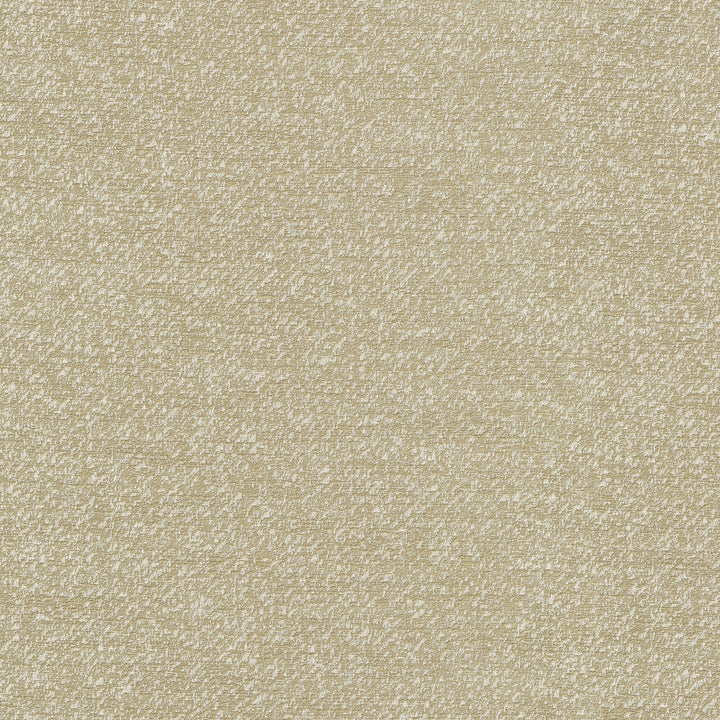 Despina Linen 470670 by PKL Studio Designer Fabric - 100% polyester India 51000 Horizontal: 9.25 and Vertical: 12.125 55 - Swanky Fabrics -