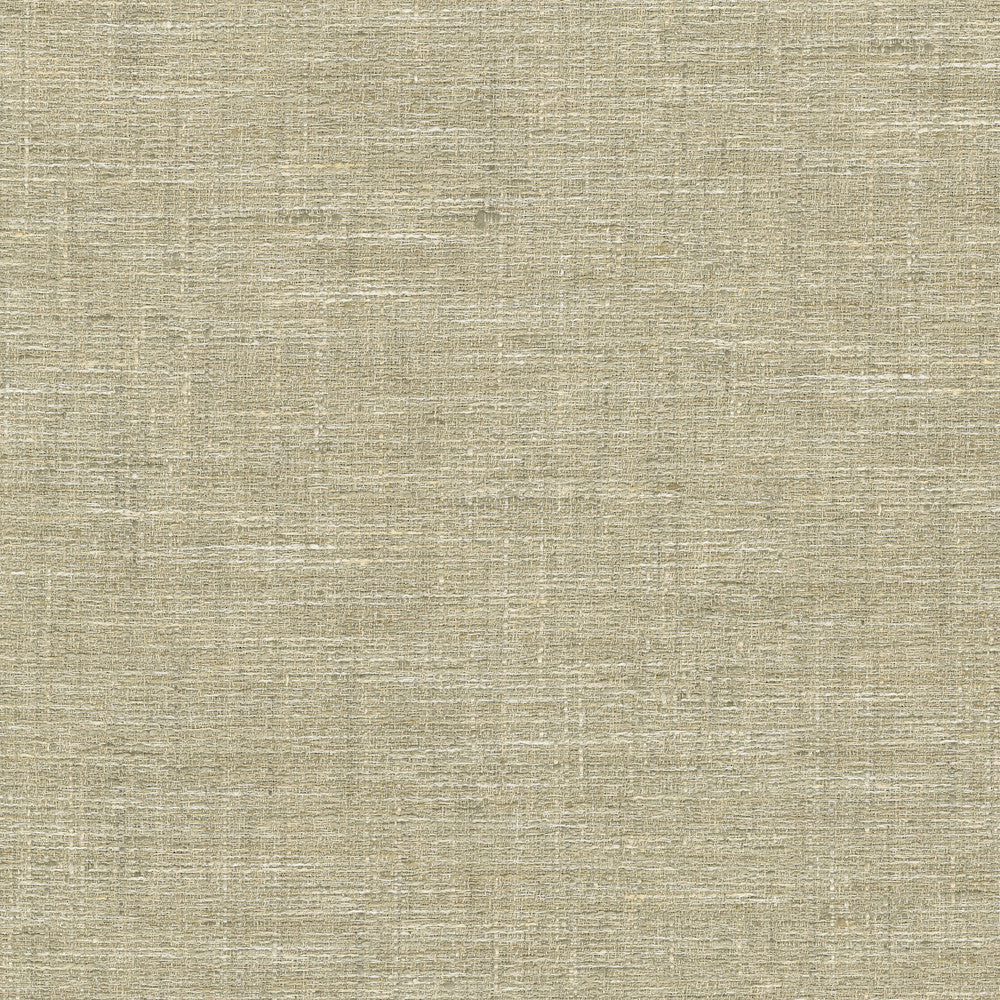 Lyra Linen 470721 by PKL Studio Designer Fabric - 100% polyester India 51000 Horizontal: N/A and Vertical: N/A 56 - Swanky Fabrics -