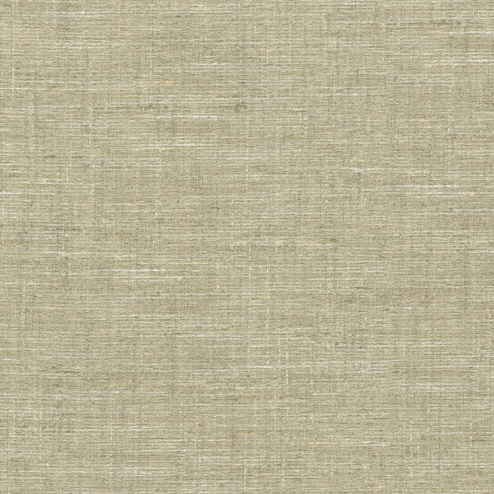 Lyra Linen 470721 by PKL Studio Designer Fabric - 100% polyester India 51000 Horizontal: N/A and Vertical: N/A 56 - Swanky Fabrics -