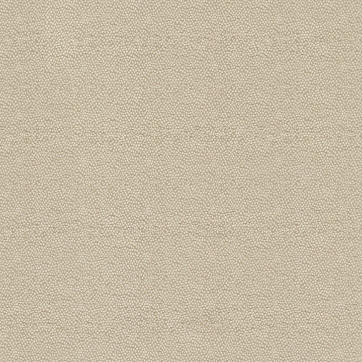 Vela Cameo 470795 by PKL Studio Designer Fabric - 45% polyester, 55% cotton India 51000 Horizontal: 2.38 and Vertical: 1.75 56 - Swanky Fabrics -