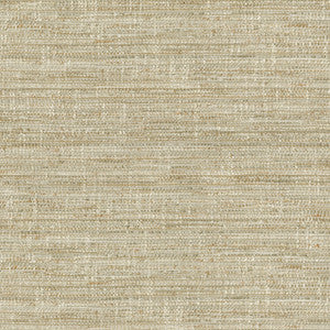 Daydream Dune 471073 By P/K Lifestyles Designer Fabric