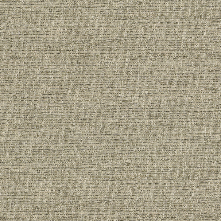 Garrett Mushroom 471085 by P/K LIFESTYLES Designer Fabric - 90% polyester, 10% cotton India 51000 Horizontal: 0 and Vertical: 0 54  - Swanky Fabrics -