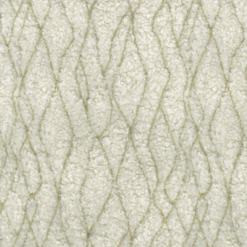 Fez Fur Emb. Linen 471192 by P/K LIFESTYLES Designer Fabric - 100% polyester/ Back 100% acrylic TC Bonding China 51000 Horizontal: 9 and Vertical: 10.75 58  - Swanky Fabrics -
