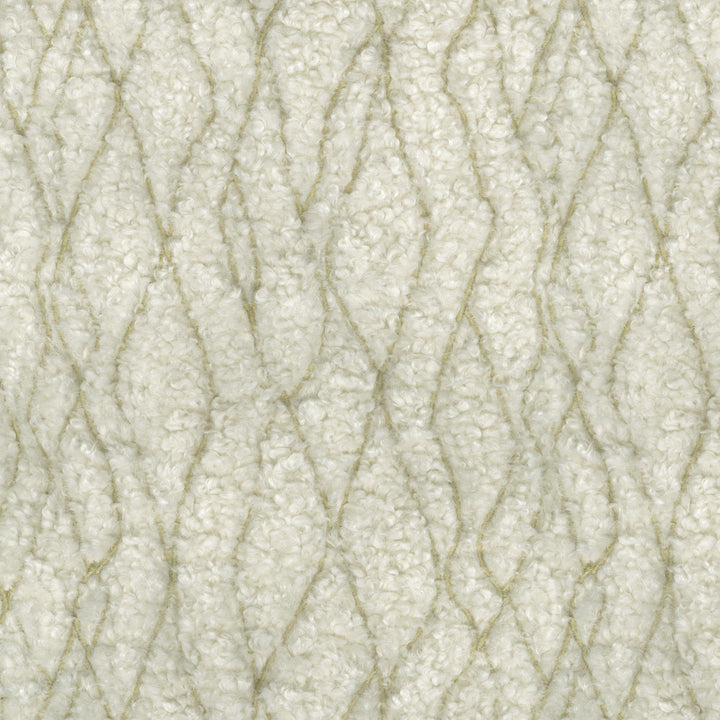 Fez Fur Emb. Linen 471192 by P/K LIFESTYLES Designer Fabric - 100% polyester/ Back 100% acrylic TC Bonding China 51000 Horizontal: 9 and Vertical: 10.75 58  - Swanky Fabrics -
