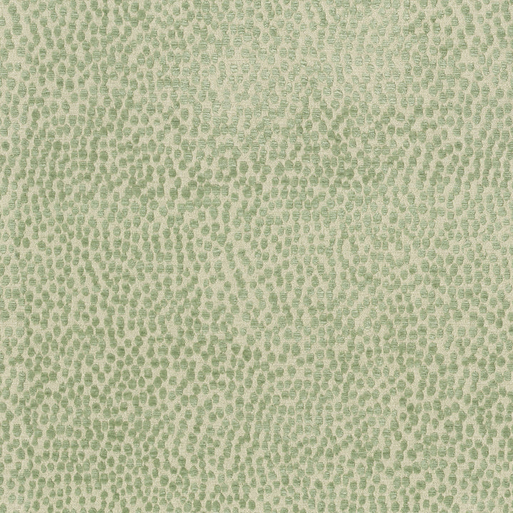 Spotty Dotty Meadow 471240 by P/K LIFESTYLES Designer Fabric - 100% polyester China 51000 Horizontal: 14.5 and Vertical: 16.25 56  - Swanky Fabrics -