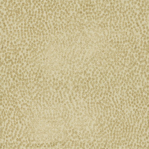 Spotty Dotty Hay  471247 By P/K Lifestyles Designer Fabric