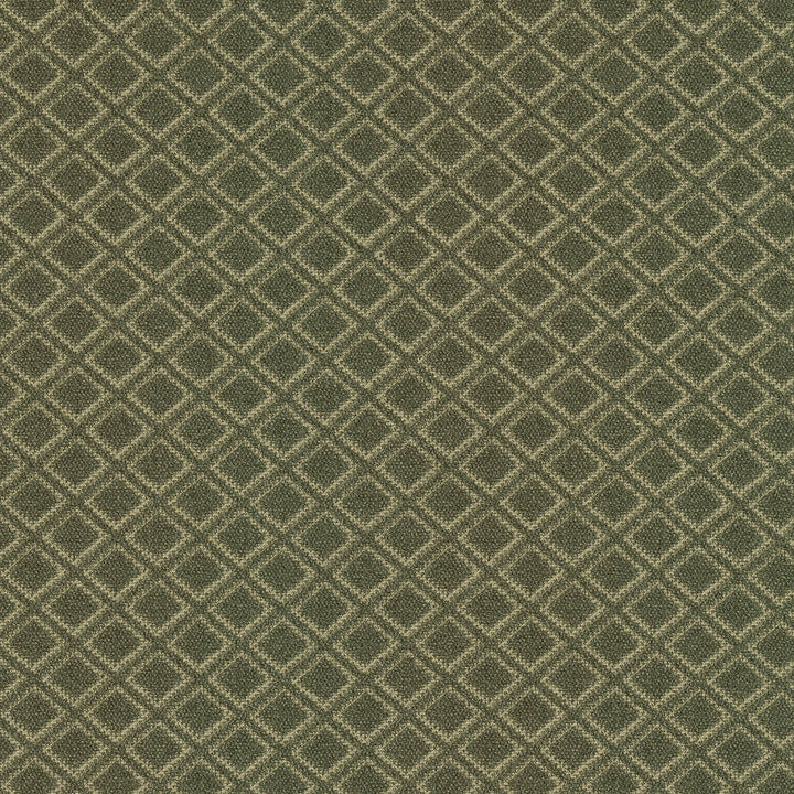 Rare Gem Juniper 471250 by P/K LIFESTYLES Designer Fabric - 100% polyester India 51000 Horizontal: 1.25 and Vertical: 1.12 54  - Swanky Fabrics -