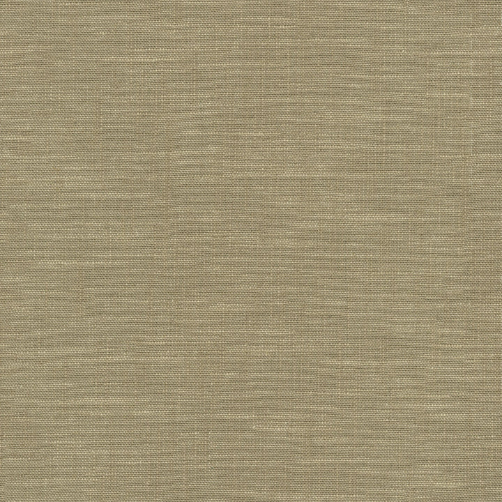 Winston Linen 471378 by P/K LIFESTYLES Designer Fabric - 70% cotton, 30% linen India 51000 Horizontal: 0 and Vertical: 0 56  - Swanky Fabrics -