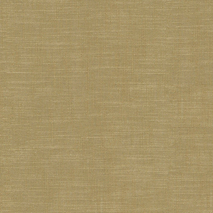 Winston Wheat 471379 by P/K LIFESTYLES Designer Fabric - 70% cotton, 30% linen India 51000 Horizontal: 0 and Vertical: 0 56  - Swanky Fabrics -