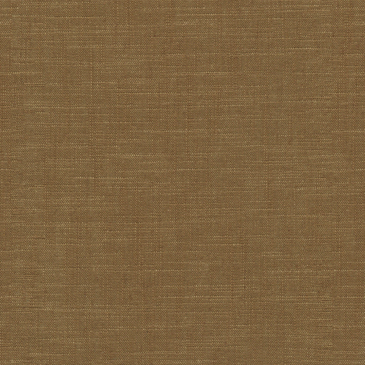 Winston Saddle 471380 by P/K LIFESTYLES Designer Fabric - 70% cotton, 30% linen India 51000 Horizontal: 0 and Vertical: 0 56  - Swanky Fabrics -