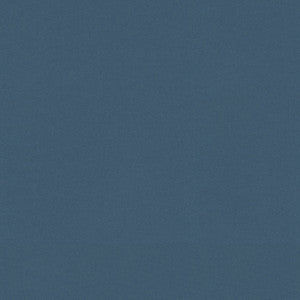 Raya Baltic 471402 By P/K Lifestyles Designer Fabric