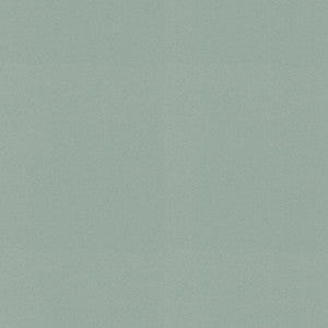 Raya Atmosphere 471405 By P/K Lifestyles Designer Fabric