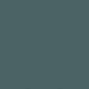Raya Lagoon 471406 By P/K Lifestyles Designer Fabric