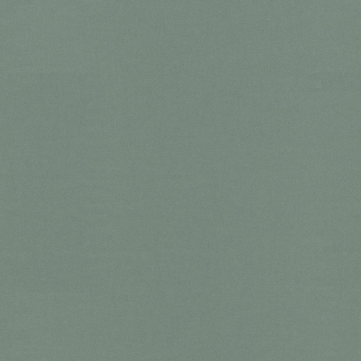 Raya Spa 471407 by P/K LIFESTYLES Designer Fabric - 100% recycled polyester India 51000 Horizontal: 0 and Vertical: 0 56  - Swanky Fabrics -