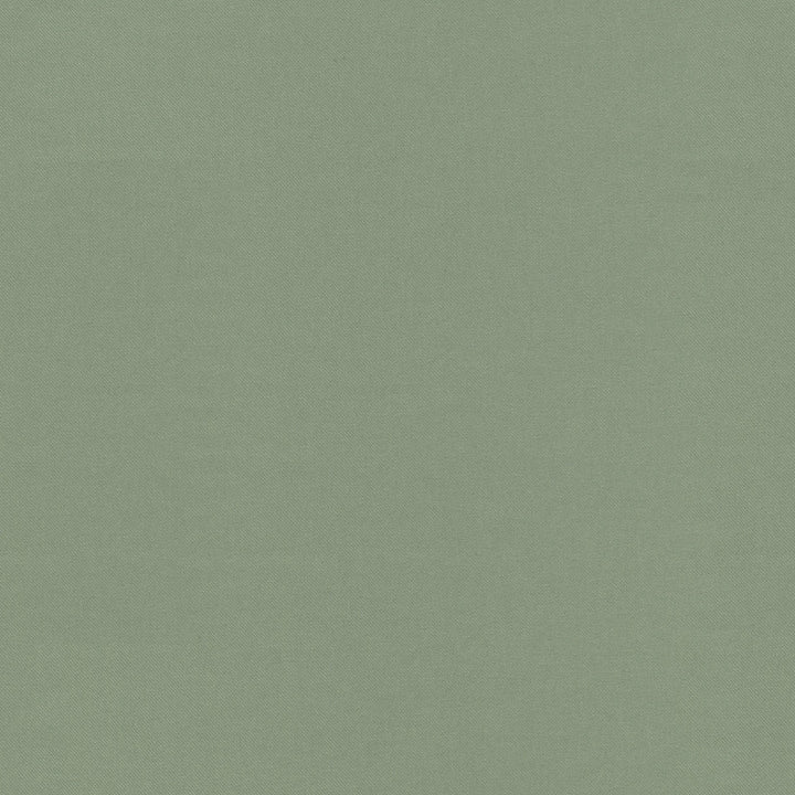 Raya Srping 471408 by P/K LIFESTYLES Designer Fabric - 100% recycled polyester India 51000 Horizontal: 0 and Vertical: 0 56  - Swanky Fabrics -