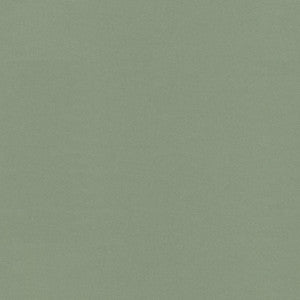 Raya Srping 471408 By P/K Lifestyles Designer Fabric