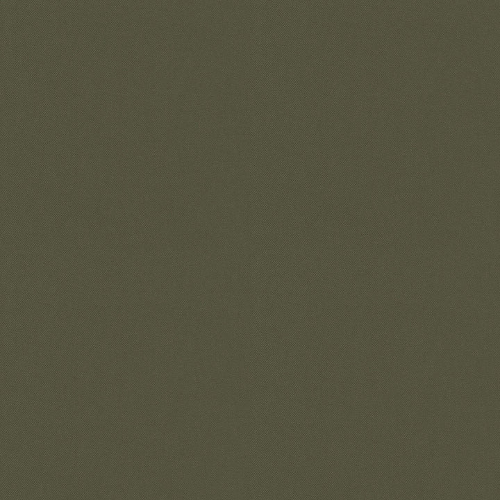 Raya Leaf 471409 by P/K LIFESTYLES Designer Fabric - 100% recycled polyester India 51000 Horizontal: 0 and Vertical: 0 56  - Swanky Fabrics -