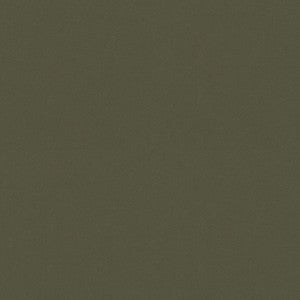 Raya Leaf 471409 By P/K Lifestyles Designer Fabric