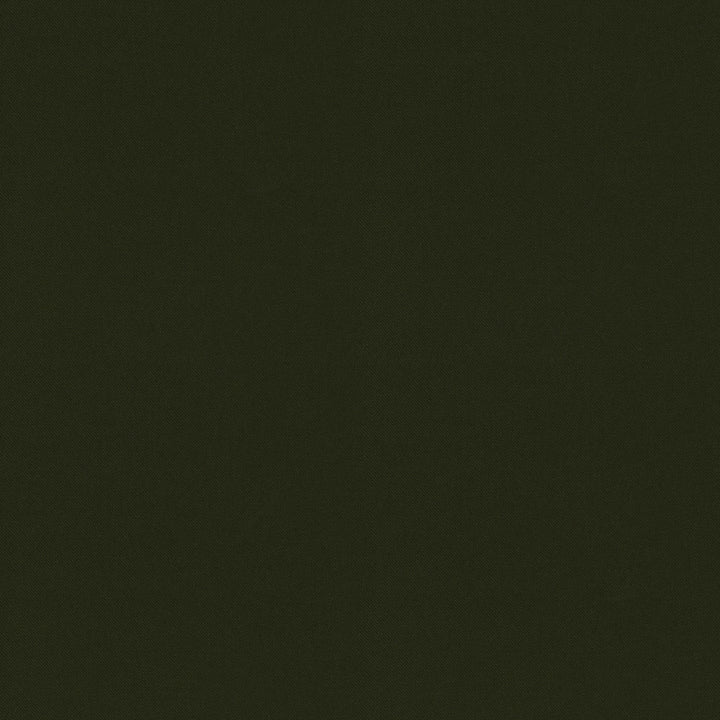 Raya Olive 471410 by P/K LIFESTYLES Designer Fabric - 100% recycled polyester India 51000 Horizontal: 0 and Vertical: 0 56  - Swanky Fabrics -