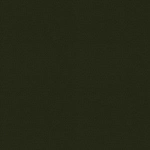 Raya Olive 471410 By P/K Lifestyles Designer Fabric
