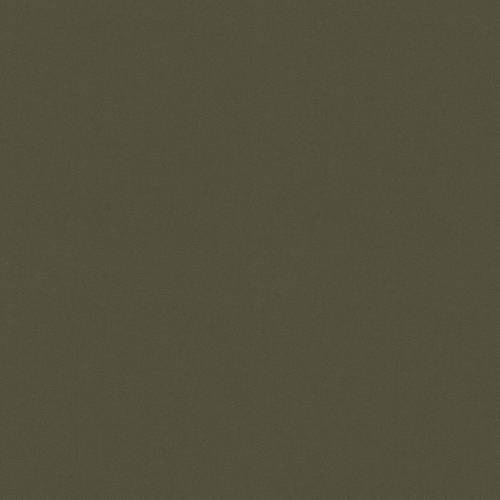 Raya Loden 471411 by P/K LIFESTYLES Designer Fabric - 100% recycled polyester India 51000 Horizontal: 0 and Vertical: 0 56  - Swanky Fabrics -