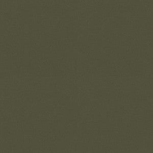 Raya Loden 471411 By P/K Lifestyles Designer Fabric
