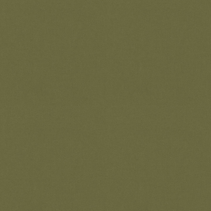 Raya Sage 471412 by P/K LIFESTYLES Designer Fabric - 100% recycled polyester India 51000 Horizontal: 0 and Vertical: 0 56  - Swanky Fabrics -