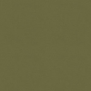 Raya Sage 471412 By P/K Lifestyles Designer Fabric