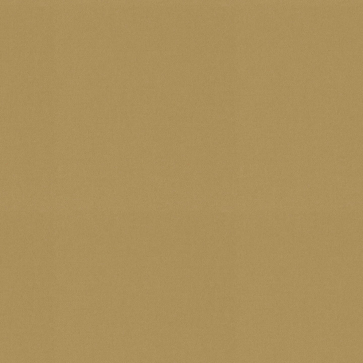 Raya Wheat 471413 by P/K LIFESTYLES Designer Fabric - 100% recycled polyester India 51000 Horizontal: 0 and Vertical: 0 56  - Swanky Fabrics -