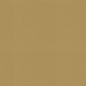 Raya Wheat 471413 By P/K Lifestyles Designer Fabric