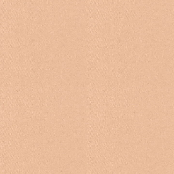 Raya Ballet 471415 by P/K LIFESTYLES Designer Fabric - 100% recycled polyester India 51000 Horizontal: 0 and Vertical: 0 56  - Swanky Fabrics -