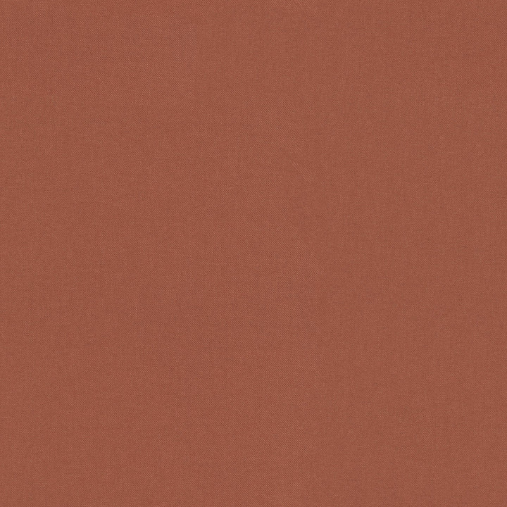 Raya Canyon 471416 by P/K LIFESTYLES Designer Fabric - 100% recycled polyester India 51000 Horizontal: 0 and Vertical: 0 56  - Swanky Fabrics -