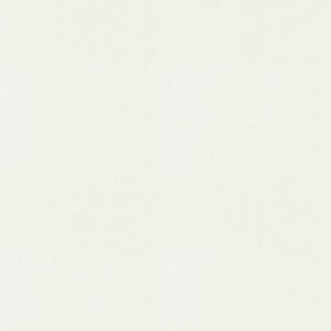 Raya White 471420 By P/K Lifestyles Designer Fabric
