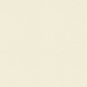 Raya Natural 471422 By P/K Lifestyles Designer Fabric