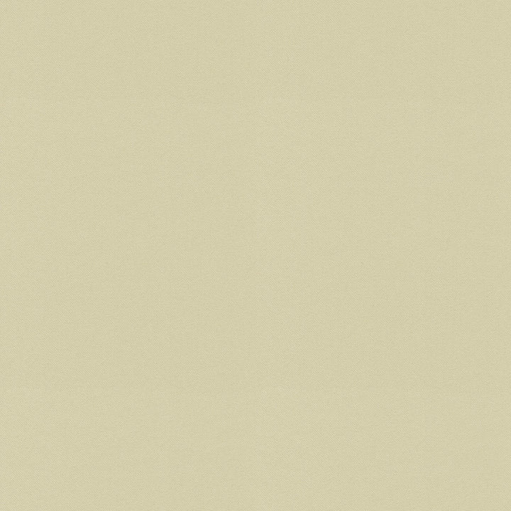 Raya Beige 471424 by P/K LIFESTYLES Designer Fabric - 100% recycled polyester India 51000 Horizontal: 0 and Vertical: 0 56  - Swanky Fabrics -