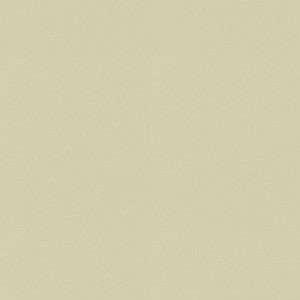 Raya Beige 471424 By P/K Lifestyles Designer Fabric