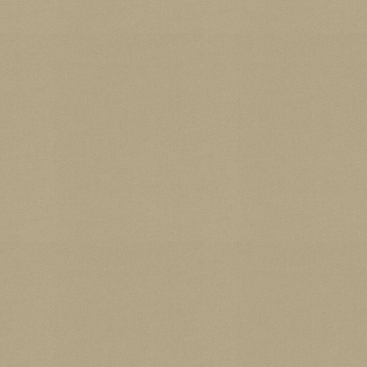 Raya Driftwood 471425 by P/K LIFESTYLES Designer Fabric - 100% recycled polyester India 51000 Horizontal: 0 and Vertical: 0 56  - Swanky Fabrics -