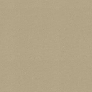 Raya Driftwood 471425 By P/K Lifestyles Designer Fabric