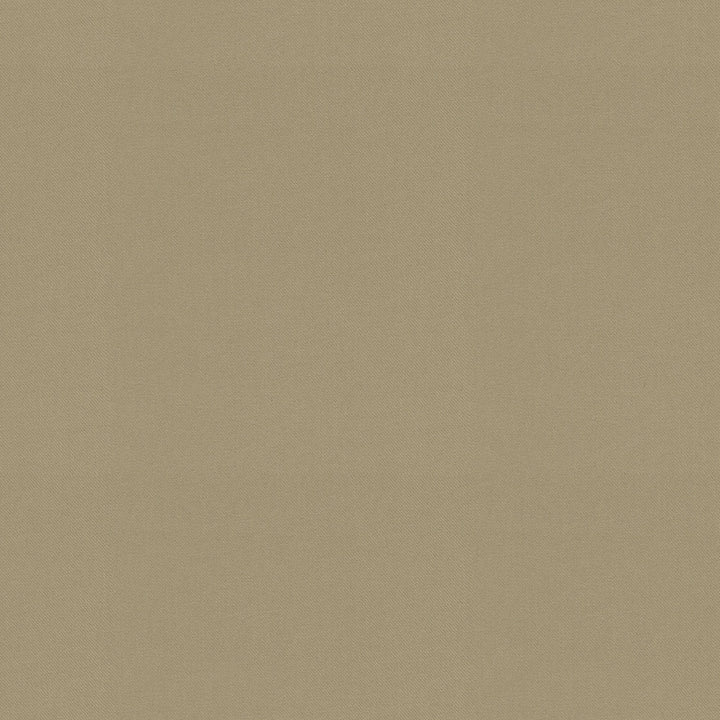 Raya Linen 471426 by P/K LIFESTYLES Designer Fabric - 100% recycled polyester India 51000 Horizontal: 0 and Vertical: 0 56  - Swanky Fabrics -