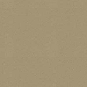Raya Linen 471426 By P/K Lifestyles Designer Fabric