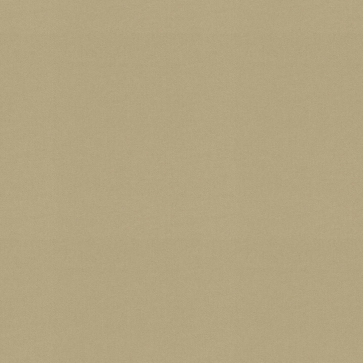 Raya Sesame 471427 by P/K LIFESTYLES Designer Fabric - 100% recycled polyester India 51000 Horizontal: 0 and Vertical: 0 56  - Swanky Fabrics -