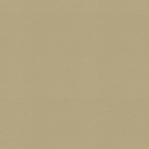 Raya Sesame 471427 By P/K Lifestyles Designer Fabric