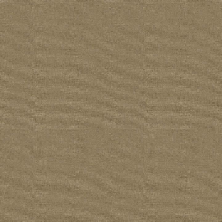 Raya Ginger 471429 by P/K LIFESTYLES Designer Fabric - 100% recycled polyester India 51000 Horizontal: 0 and Vertical: 0 56  - Swanky Fabrics -
