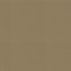 Raya Ginger 471429 By P/K Lifestyles Designer Fabric