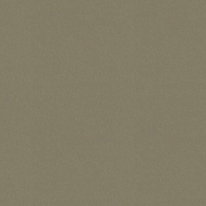 Raya Taupe 471431 by P/K LIFESTYLES Designer Fabric - 100% recycled polyester India 51000 Horizontal: 0 and Vertical: 0 56  - Swanky Fabrics -