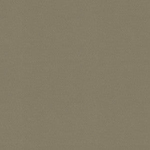Raya Taupe 471431 By P/K Lifestyles Designer Fabric