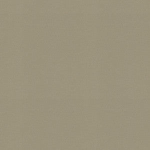 Raya Elephant 471432 By P/K Lifestyles Designer Fabric