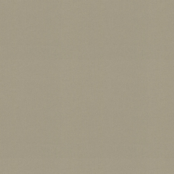 Raya Pebble 471433 by P/K LIFESTYLES Designer Fabric - 100% recycled polyester India 51000 Horizontal: 0 and Vertical: 0 56  - Swanky Fabrics -